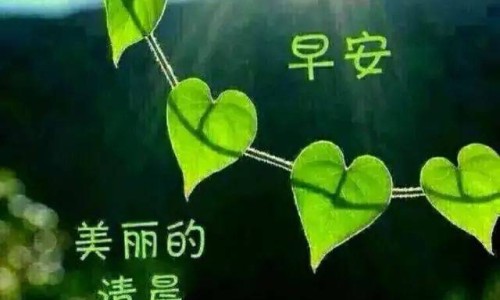 身上起红疹是梅毒吗-身上起红块会是梅毒吗网 :分享全身长红斑块是梅毒吗-全身长红斑块是梅毒吗知识
